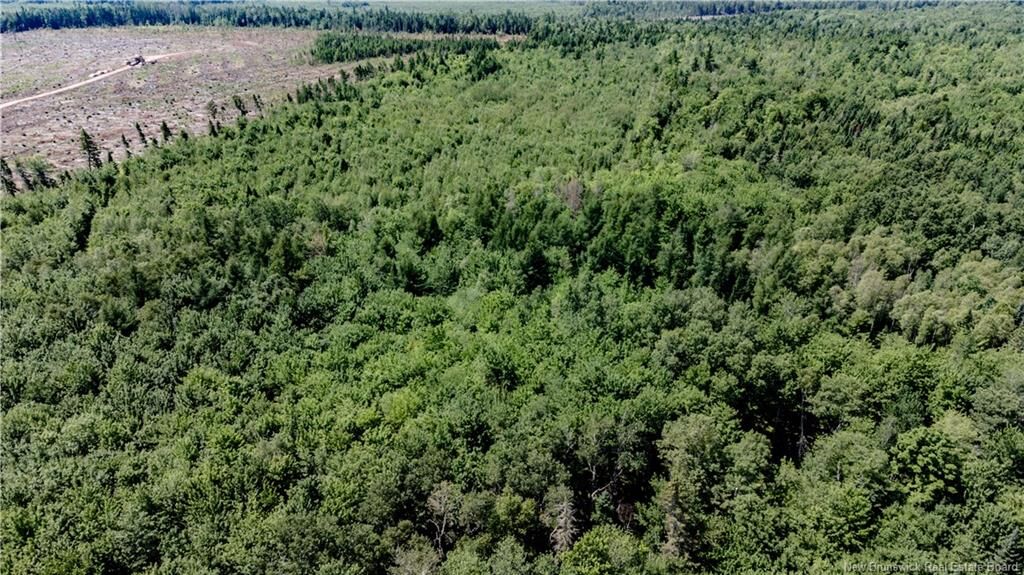 Property Photo:  Vacant Lot Ch NW Aldouane River Rd  NB E4W 0A8 