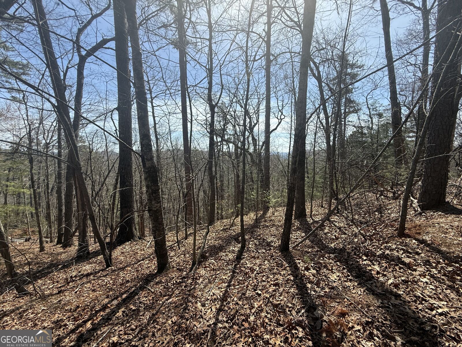 Property Photo:  Tract 3A Big View Lane  GA 30525 