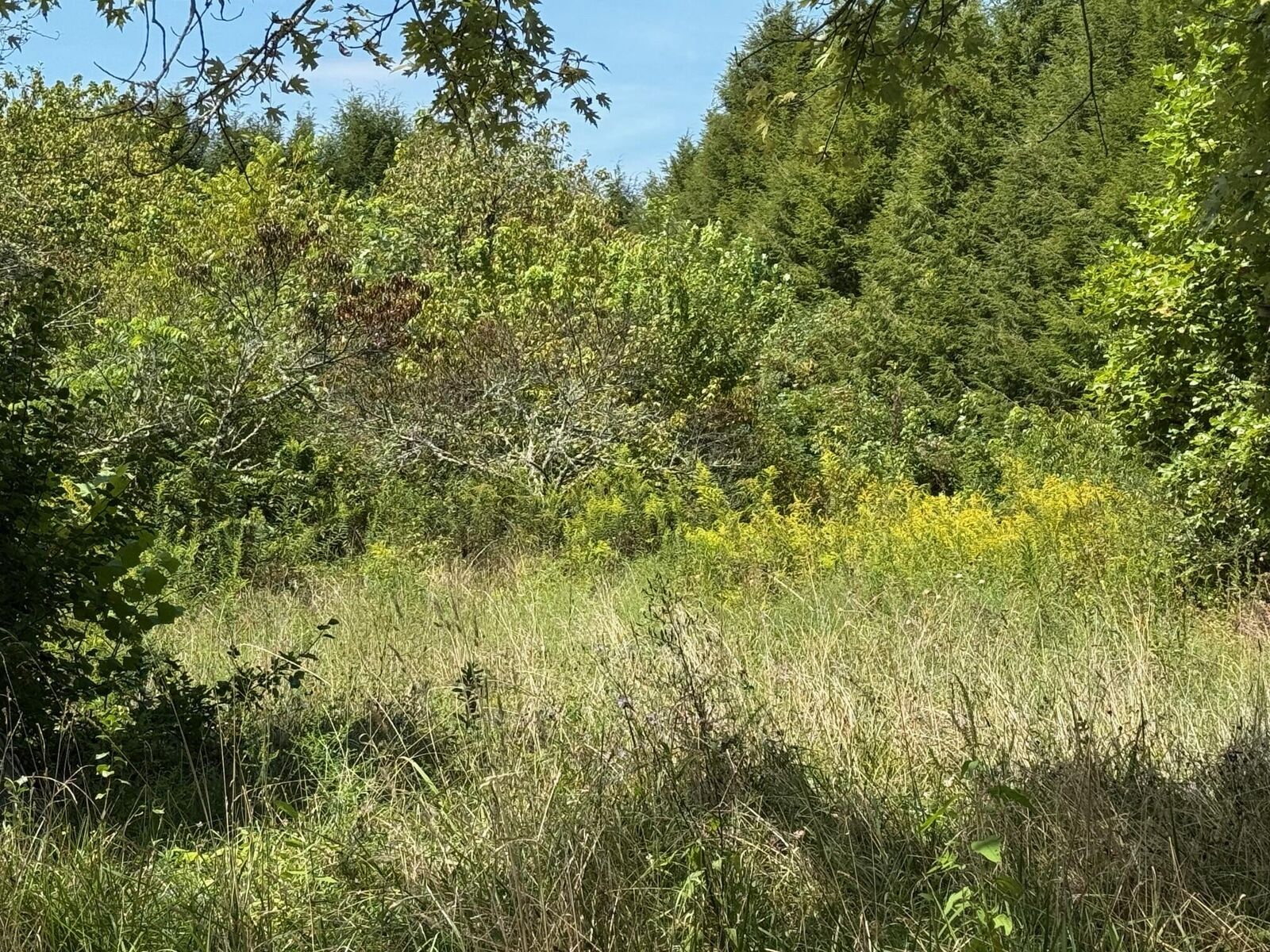 Property Photo:  1235 Tatesville Road  TN 37365 