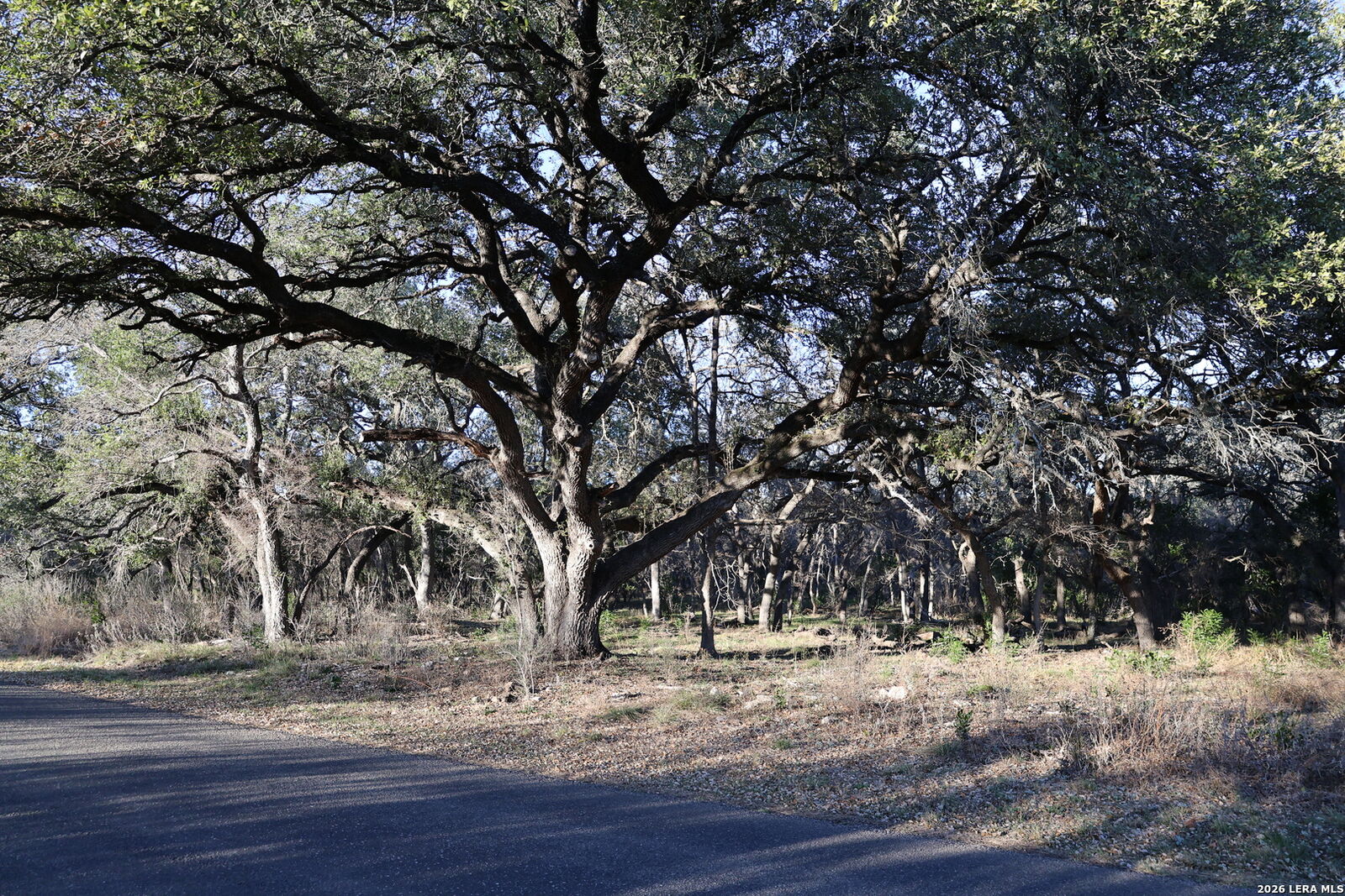 Property Photo: Tbd County Road 241 TX 78861