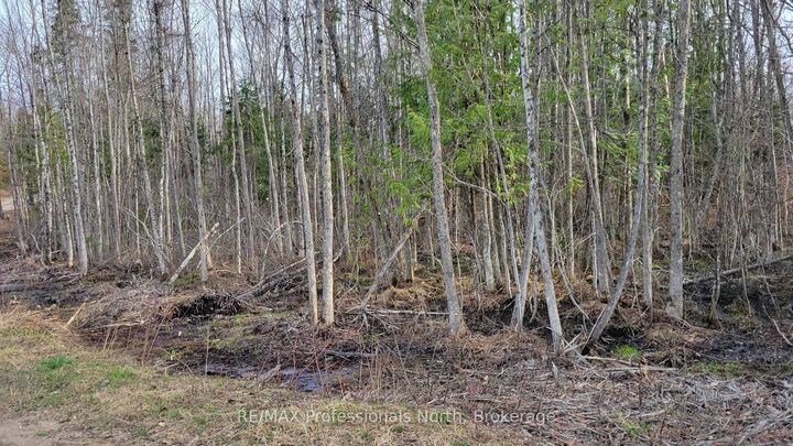 Property Photo: Pcl 20438 &Amp 29803 Upper Walker Lake Road ON P1H 2J6