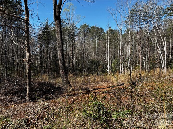 Property Photo: 1467 Graycrest Drive NC 28609