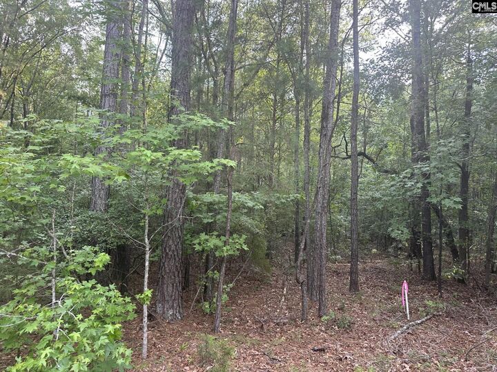 Property Photo:  320 Dewdrop  SC 29130 