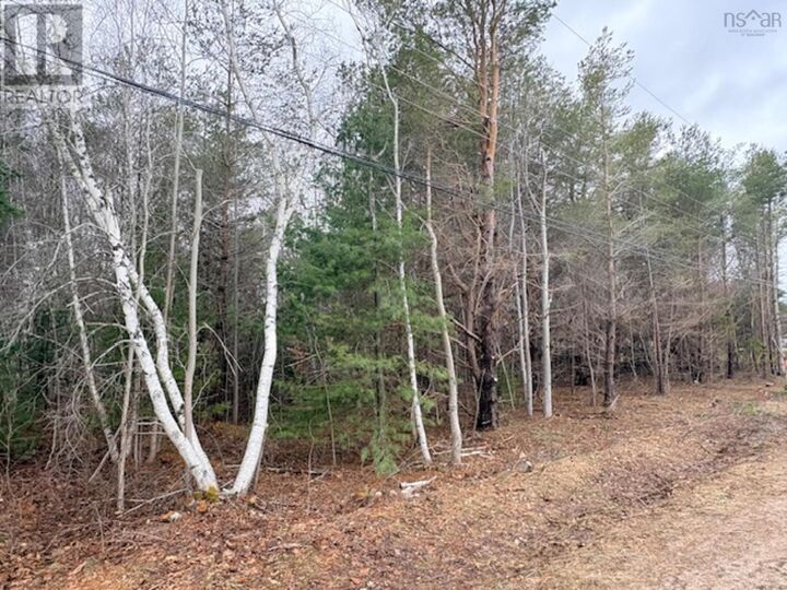 Property Photo:  Lot 3 Wanda Lynn Drive  NS B0S 1P0 