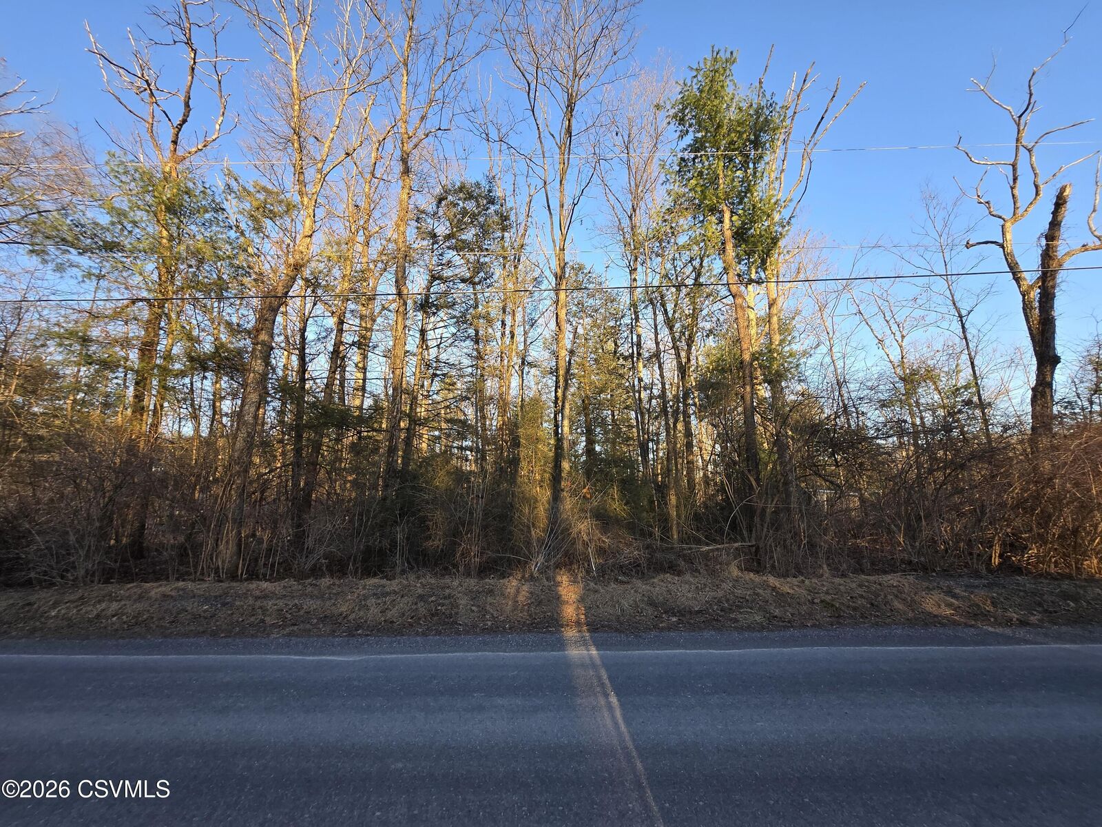 Property Photo:  Lot 2 Diehl Road  PA 17844 