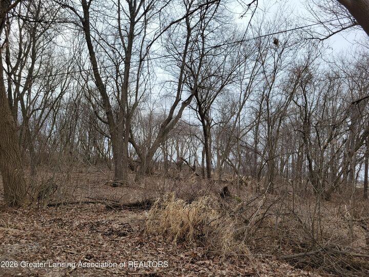 Property Photo:  0000 E M21  MI 48866 