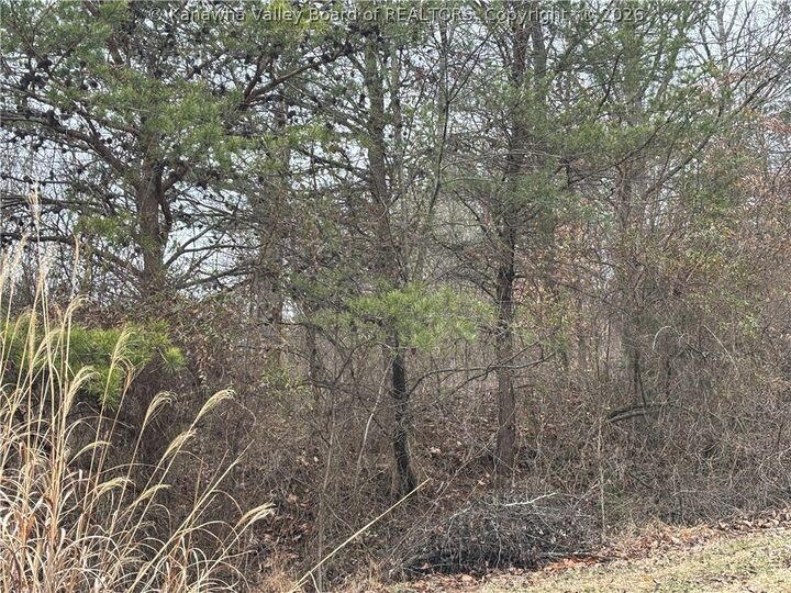 Property Photo:  0 A Stones Throw 18  WV 25177 