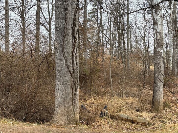 Property Photo: 0 A Stones Throw 18 WV 25177