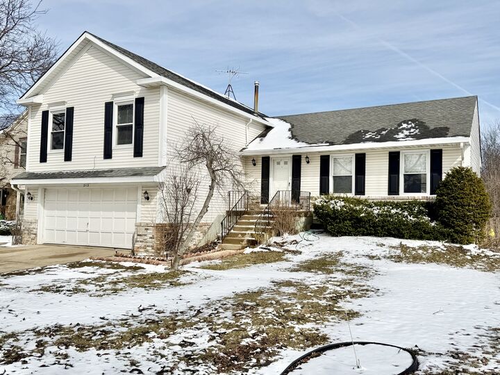 Property Photo:  213 Vintage Lane  IL 60089 