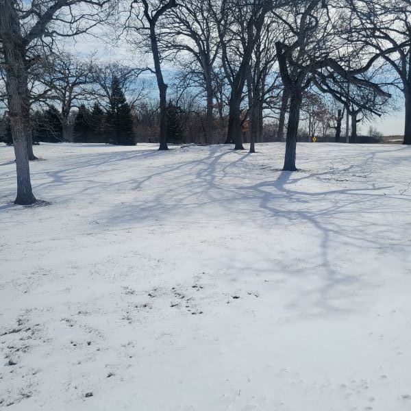 Property Photo:  Lot 11 Russinwood Court  IL 60124 