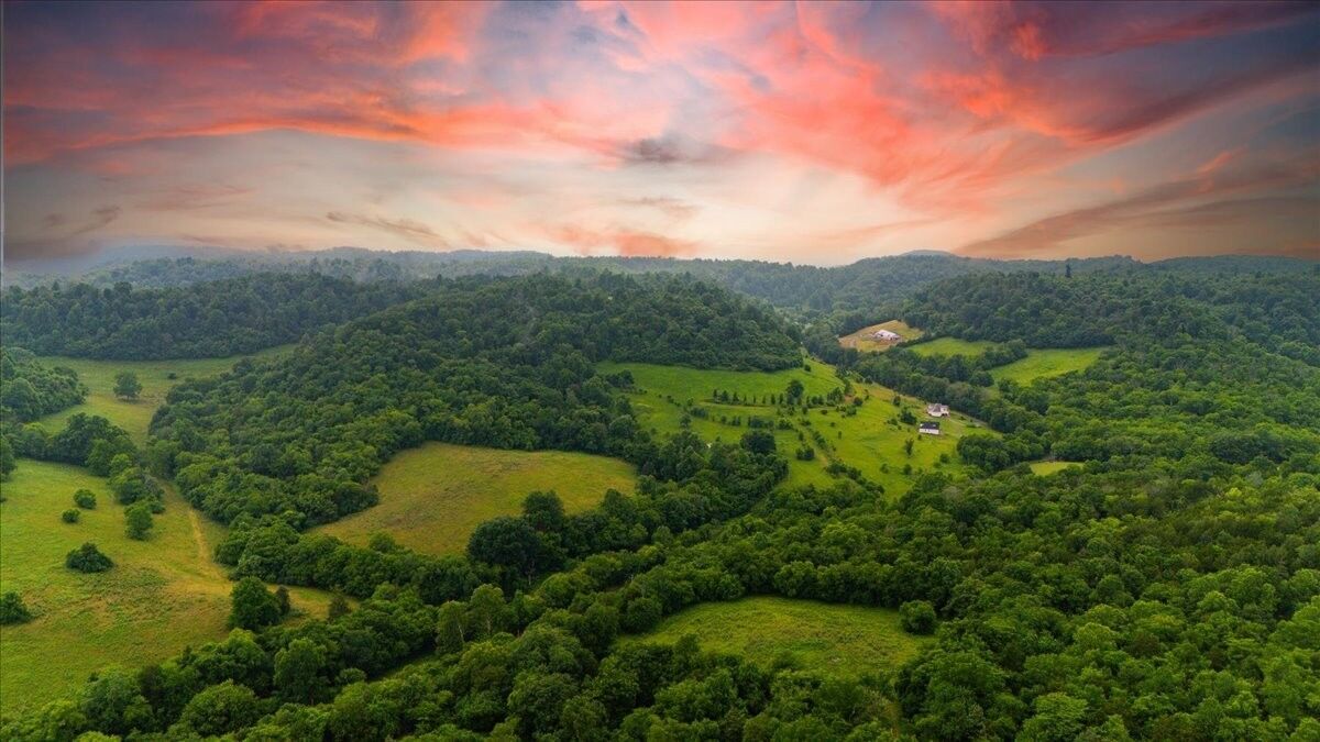 Property Photo:  0 Opossum Paw Road  TN 37018 