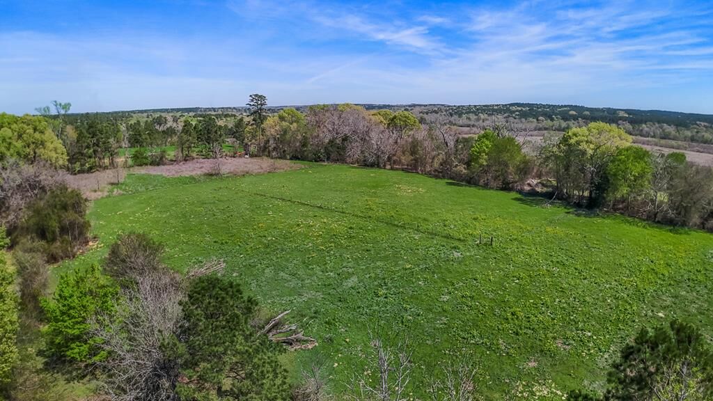 Property Photo: Tbd County Road 621 TX 75964