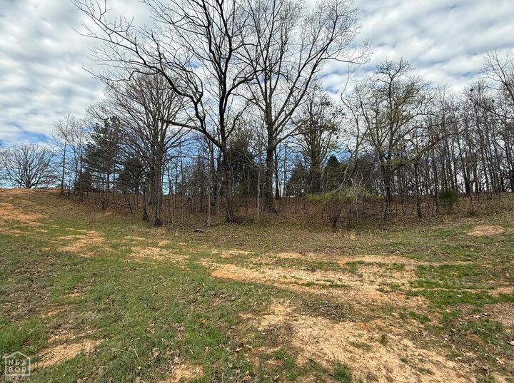 Property Photo:  4008 Sloan Lake Cove  AR 72404 