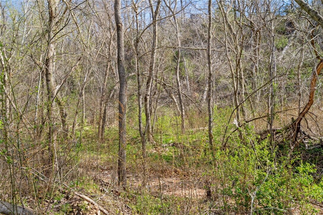 Property Photo:  12782 Stoney Point Road  AR 72758 