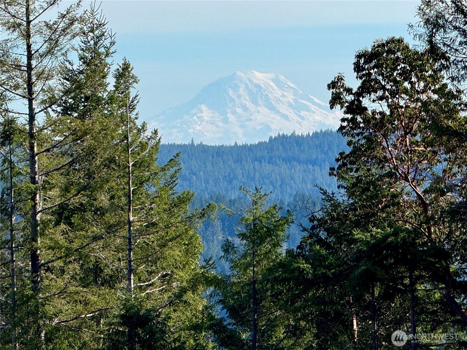 Property Photo:  65  Devereaux Drive  WA 98555 