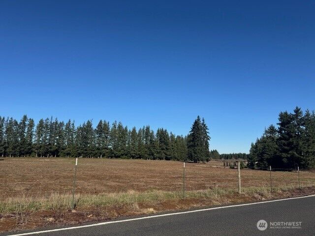 Property Photo: 0 Lot 2 Brown Road WA 98532