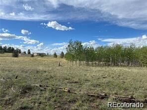 Property Photo:  1599 Campfire Road  CO 80449 