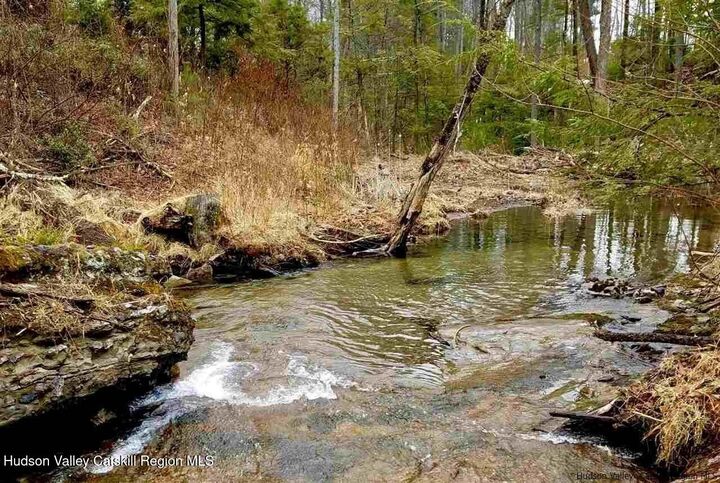 Property Photo:  Tbd Laurel  NY 12446 