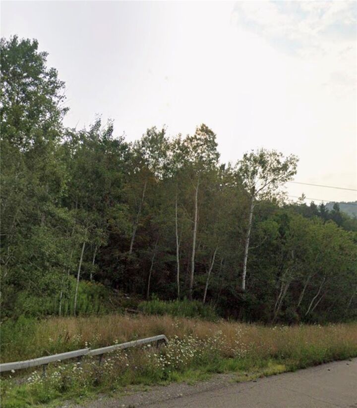 Property Photo: East NY 14809