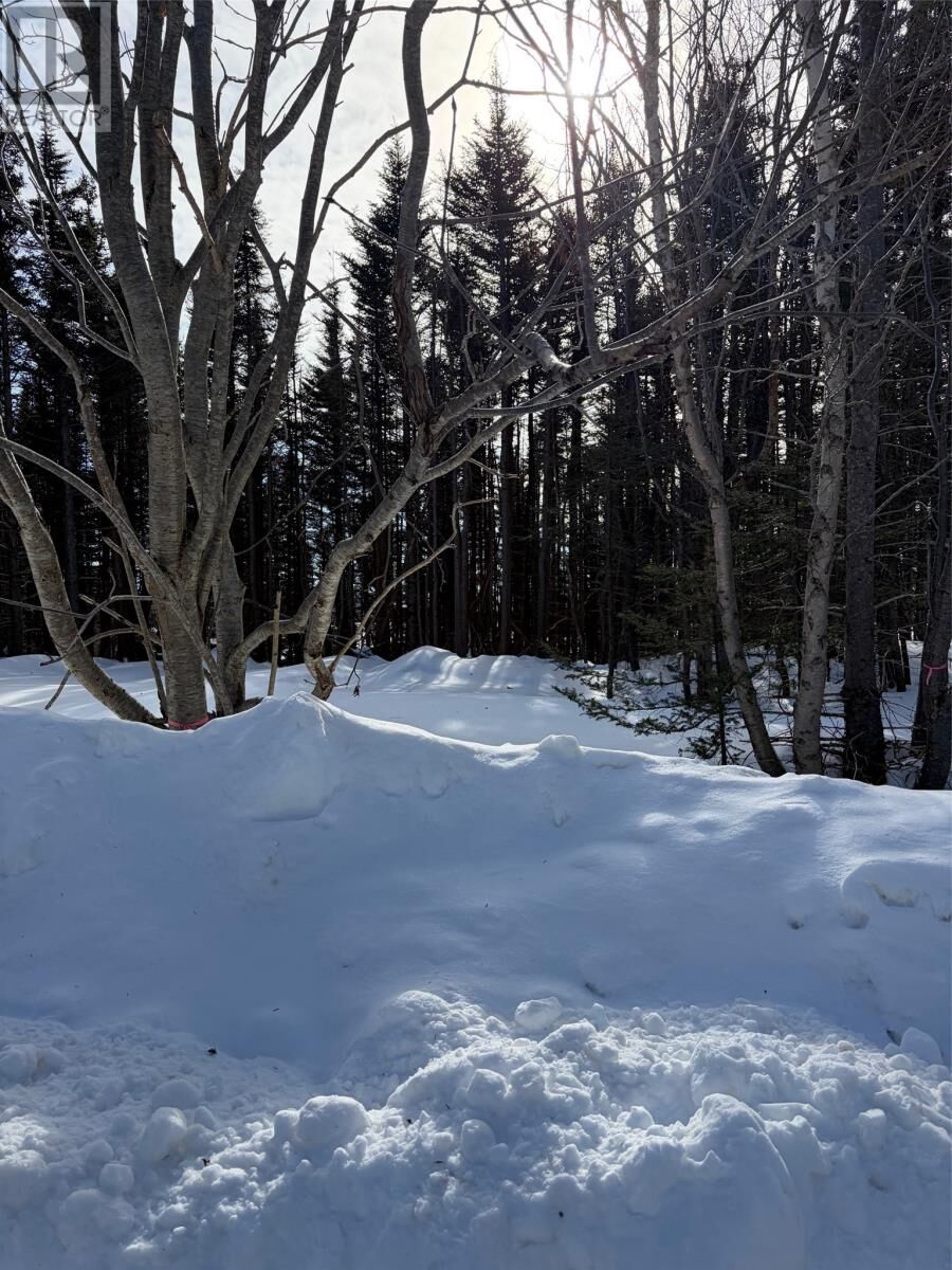Property Photo:  38 Spruce Grove Road  NL A0K 3Z0 