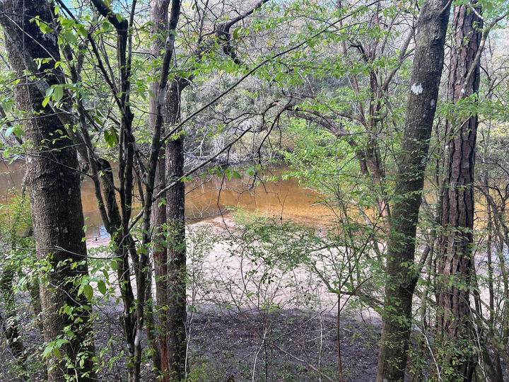 Property Photo:  0 Ryan Road  FL 32539 