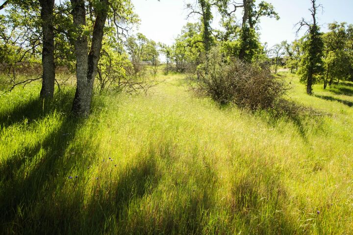 Property Photo:  1058 Salinas Street  CA 95329 