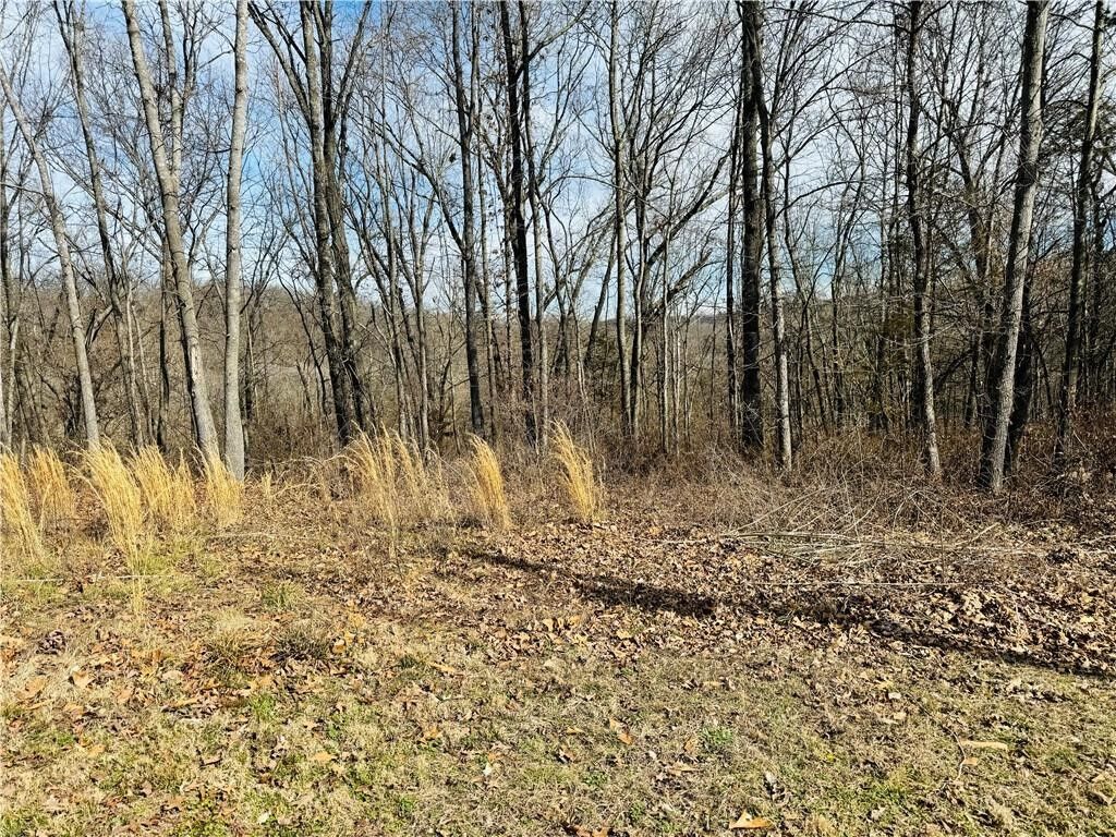 Property Photo:  Lot 4, Block 5 Kirkwall Drive  AR 72715 