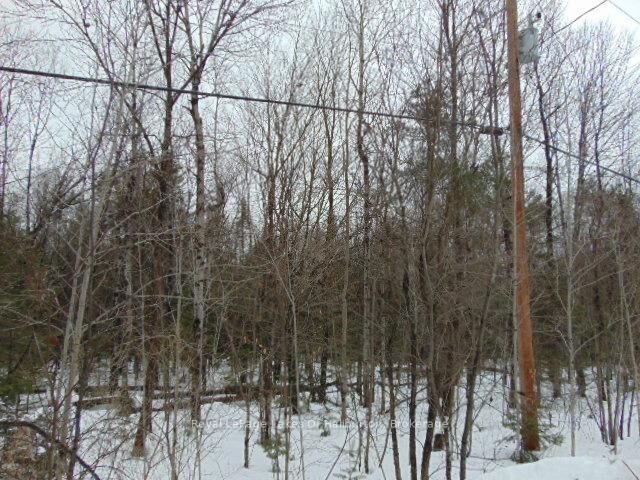 Lot 11 Plan 580 North Drive — photo 1