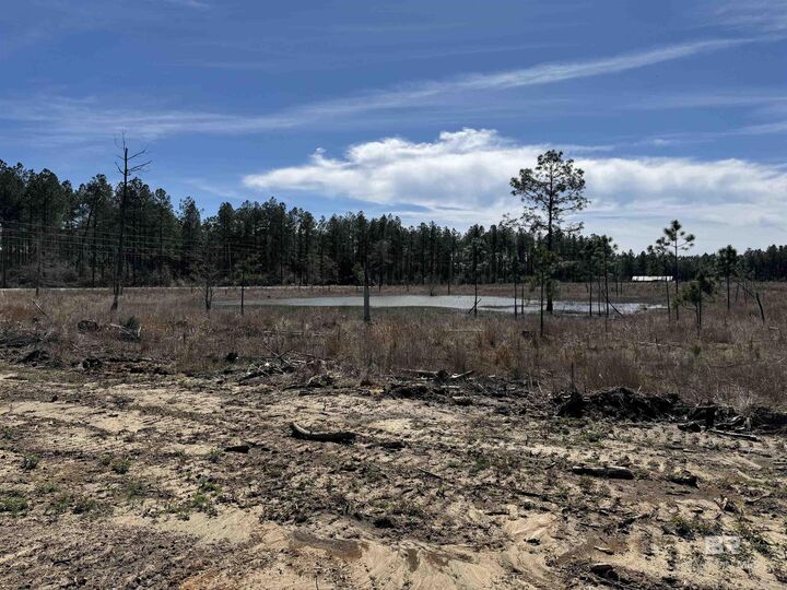 Property Photo:  2 County Road 64  AL 36567 