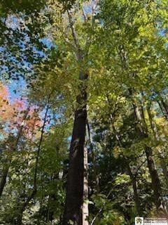 Property Photo:  2552 Butts Road  NY 14710 