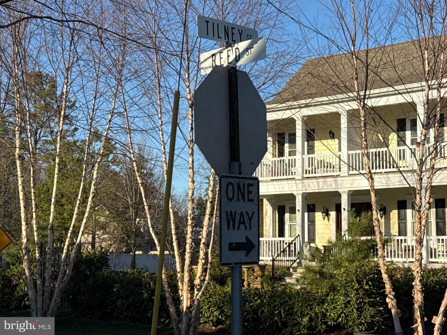 Property Photo:  116 Tilney Street  DE 19968 