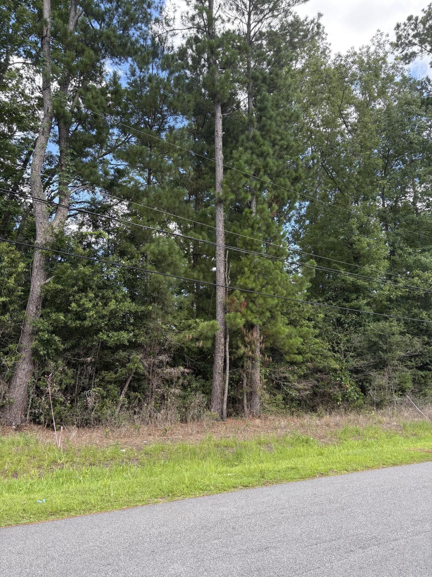 Property Photo: 0 University Drive Lot 187 SC 29418