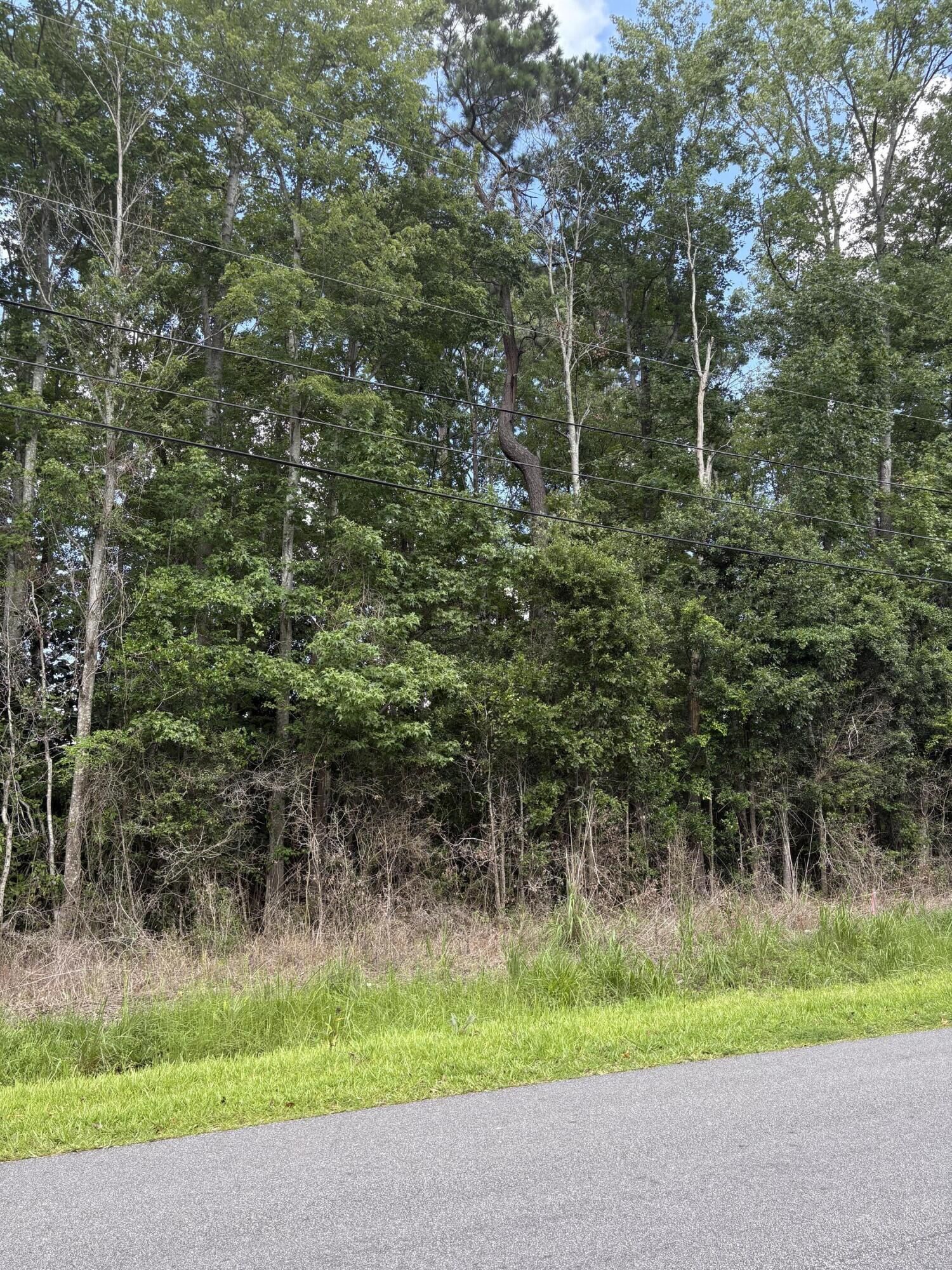 Property Photo:  0 University Drive Lot 222  SC 29418 