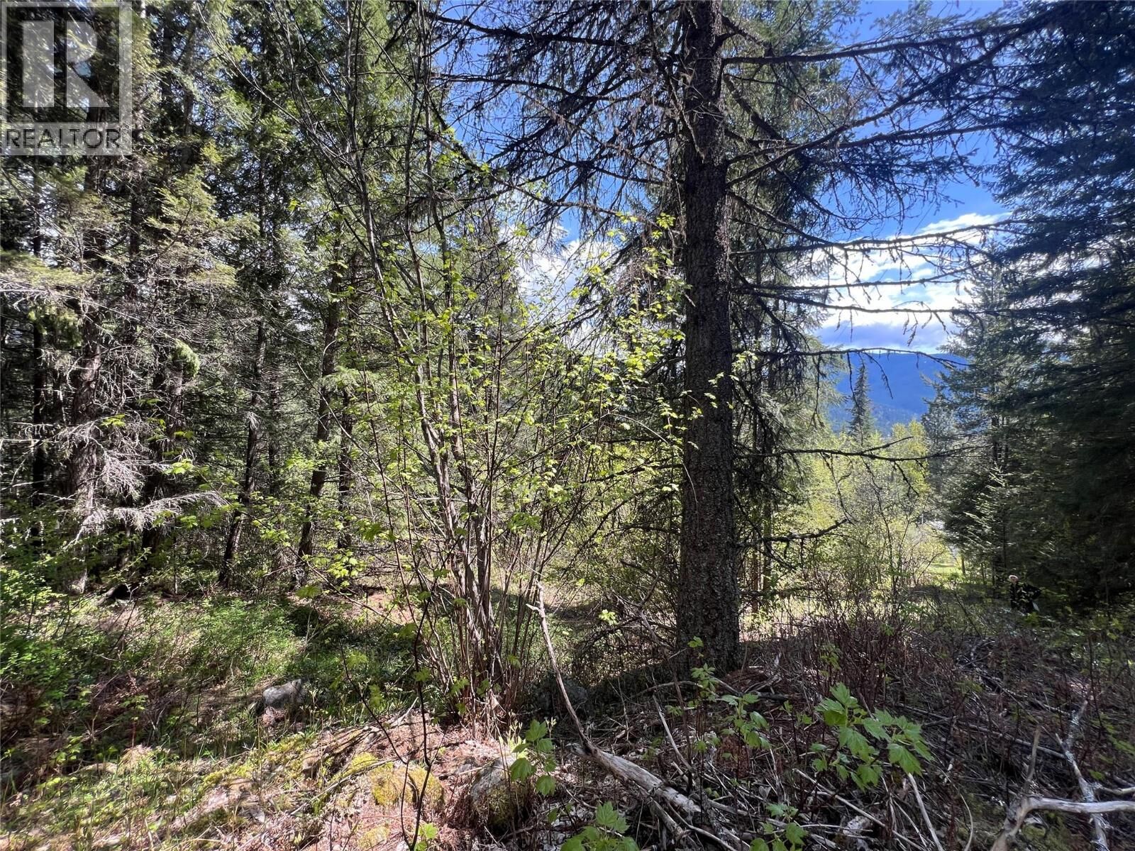 Property Photo:  Lot 2 Lois Lane  BC V0G 2J0 