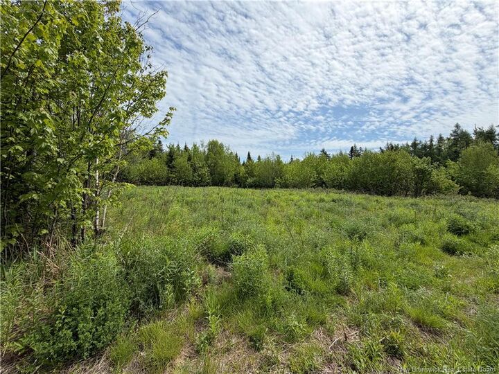 Property Photo: 225 South Black River Road NB E1N 5S5