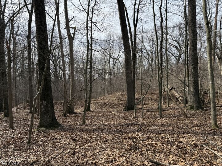 Property Photo:  162 North Rd  NJ 07930 