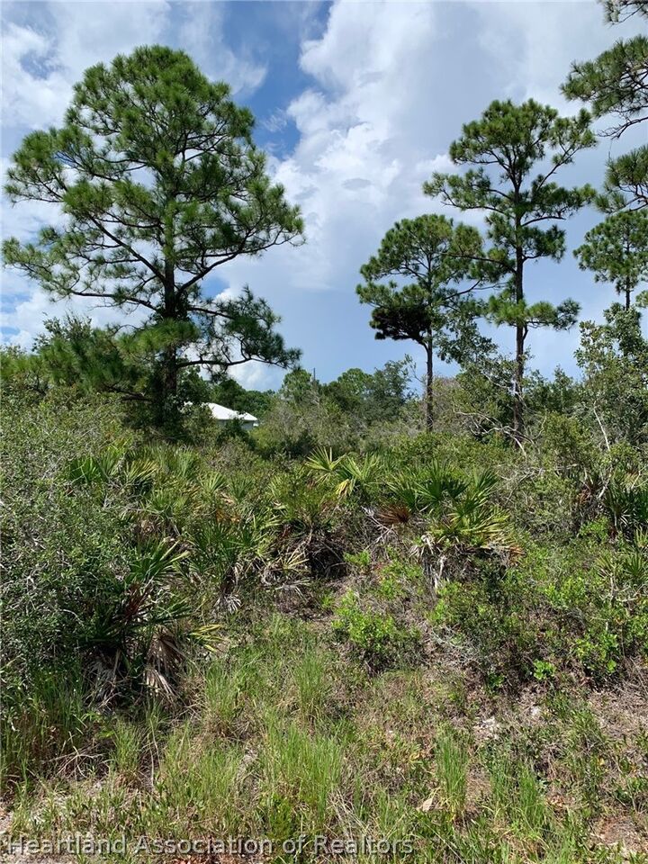 Property Photo:  225 Tomahawk Street  FL 33852 