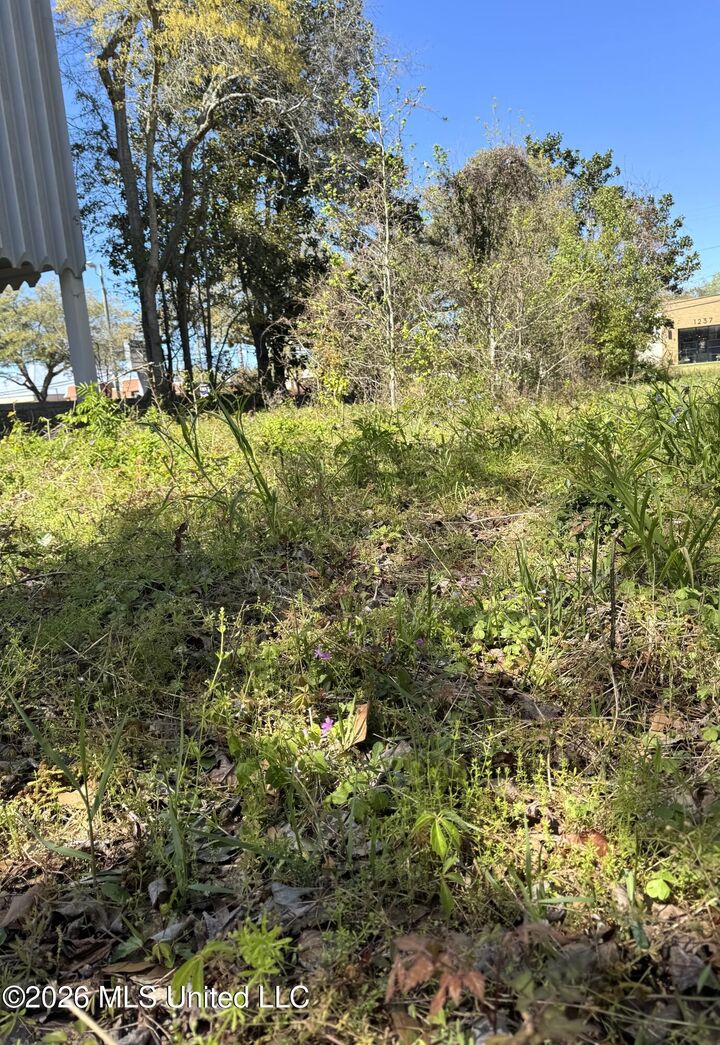 Property Photo:  0 Jackson Avenue  MS 39567 