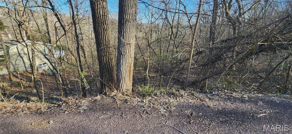 Property Photo:  633 Sir Richard Drive  MO 63357 