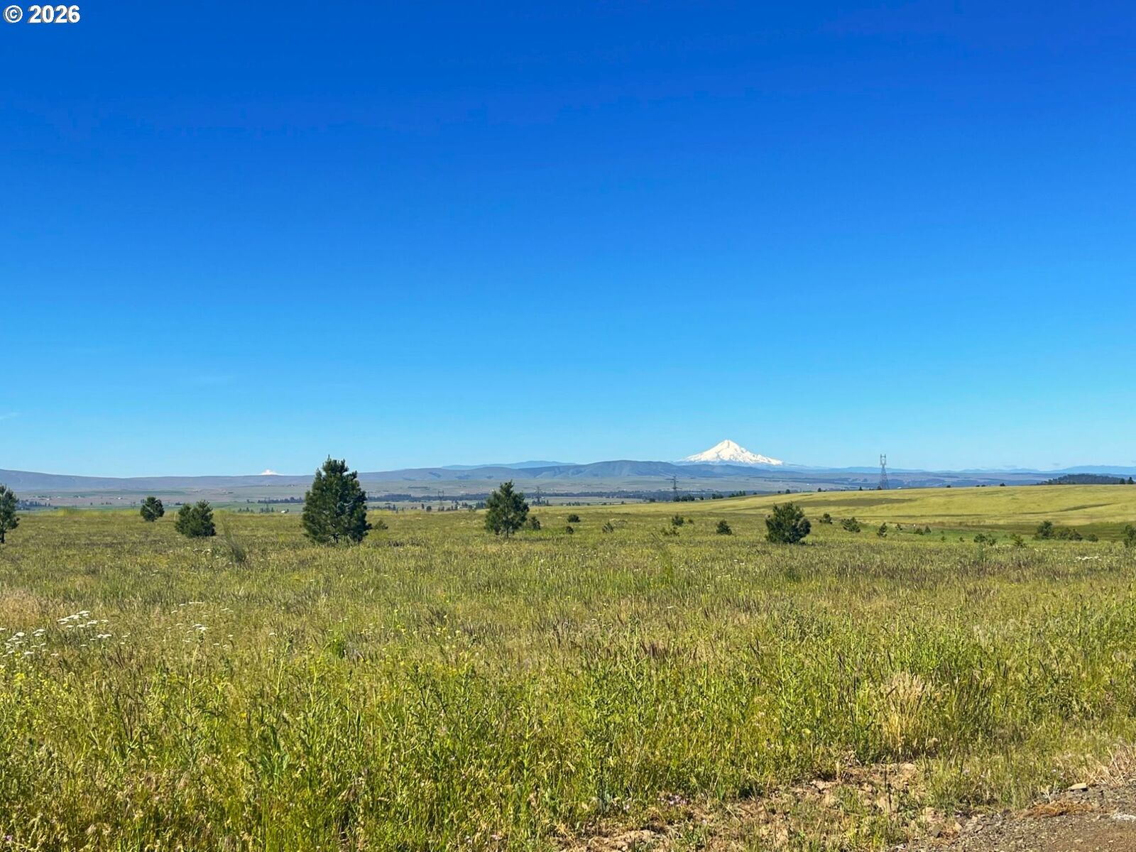 Property Photo:  44 Wildhorse Ranch Rd  WA 98620 