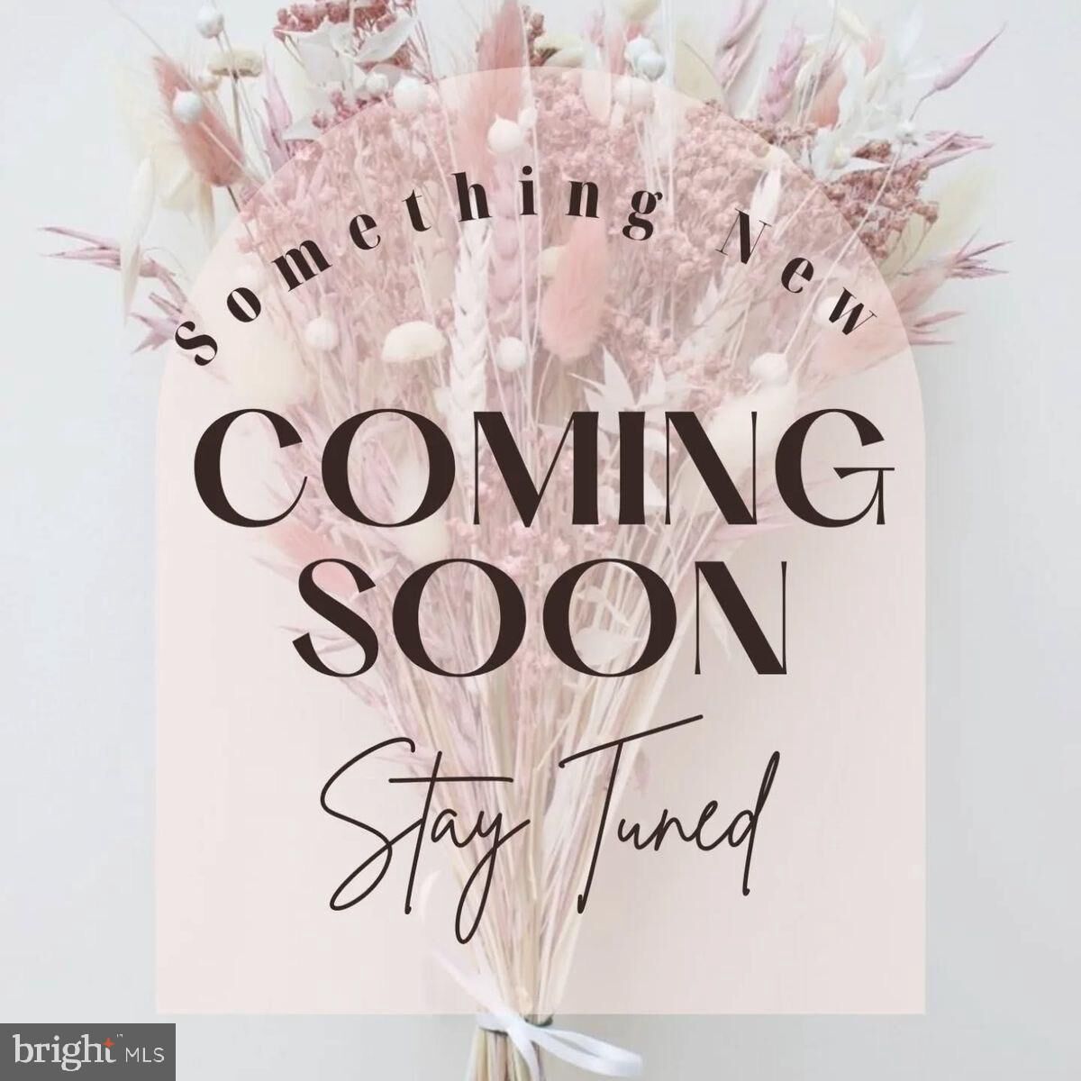 Property Photo:  20 Downing Street  MD 21601 