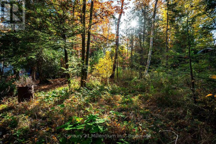 Property Photo:  Lot 35 Jay Street  ON N0H 2C5 