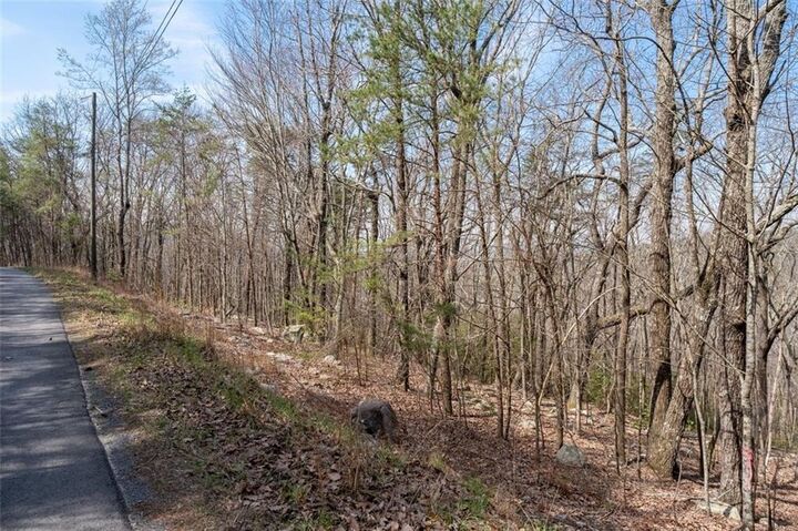 Property Photo:  0 Mulberry Circle  GA 30143 