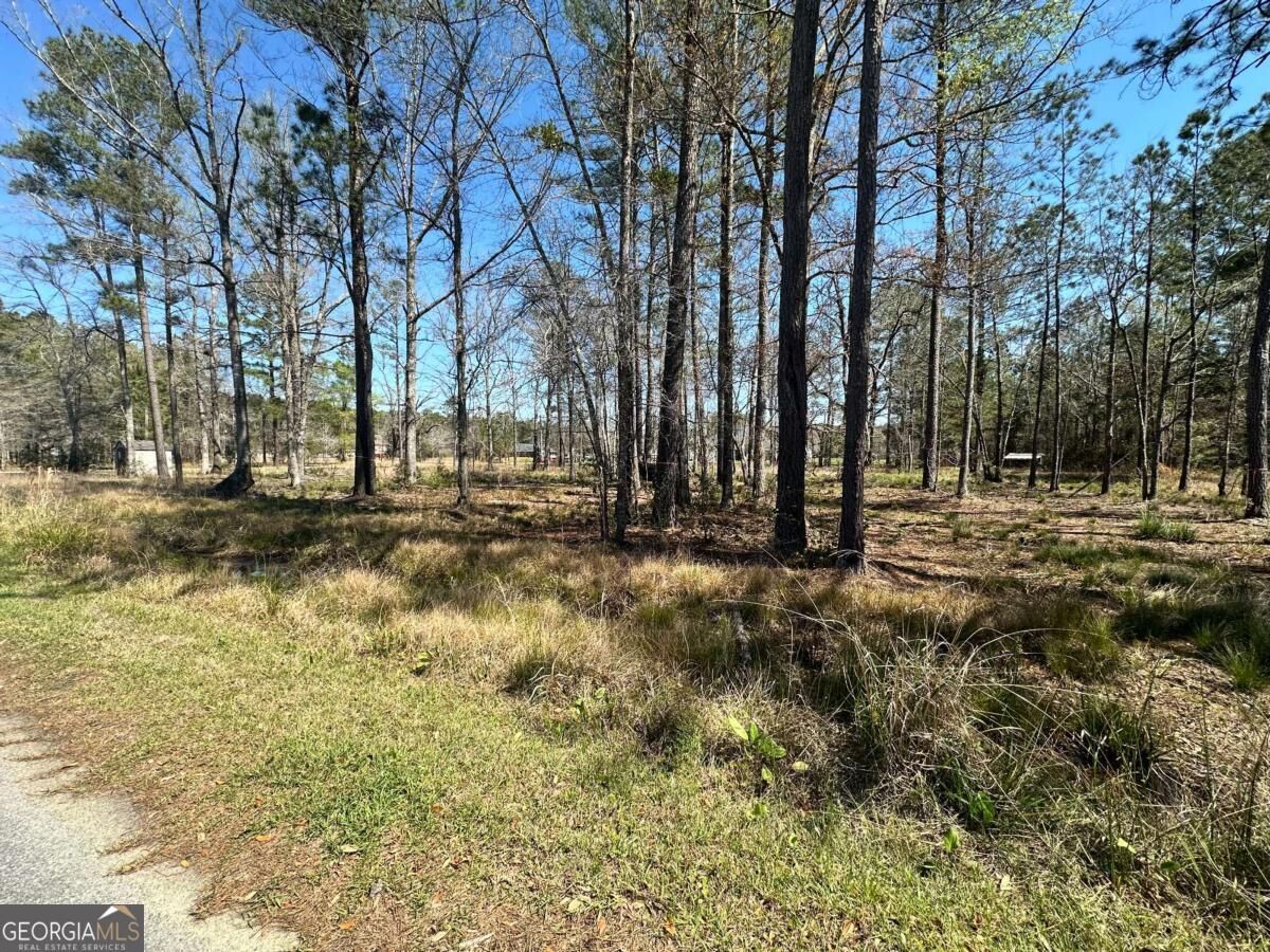 Property Photo:  102 Trail South  GA 31320 