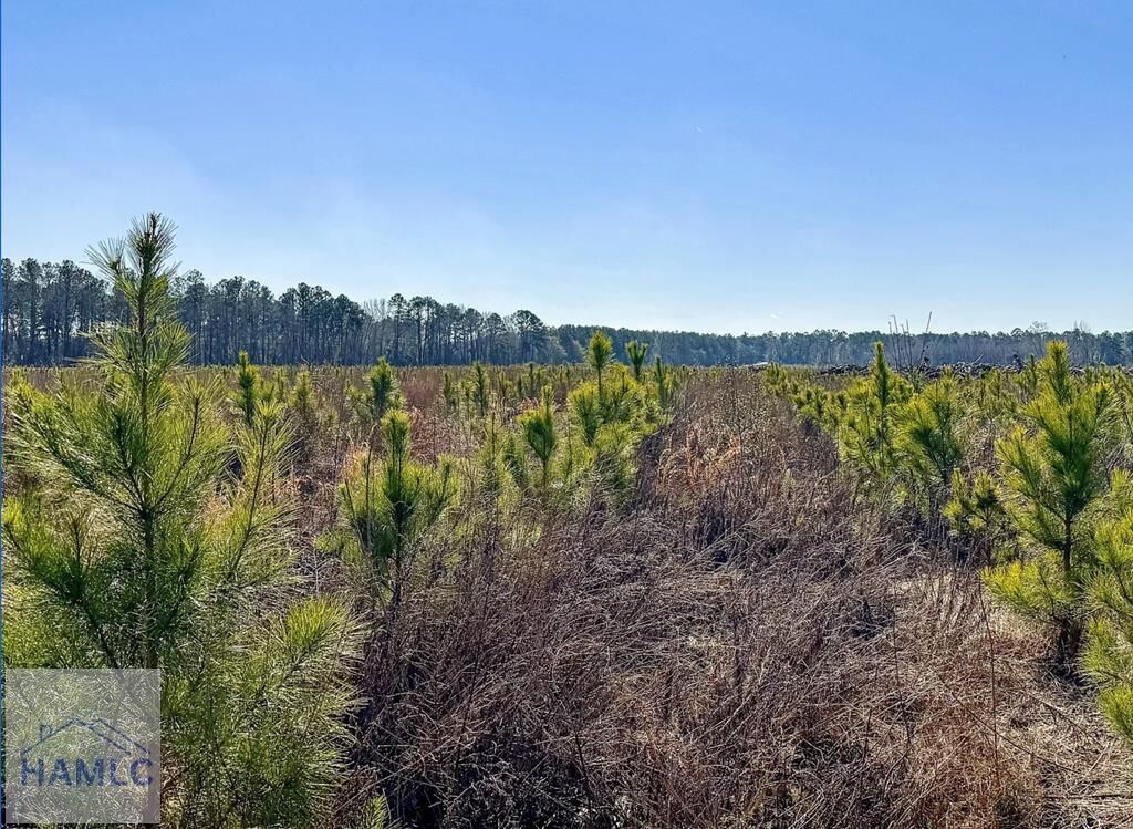 Property Photo:  #11 Highway 301 North  GA 30461 