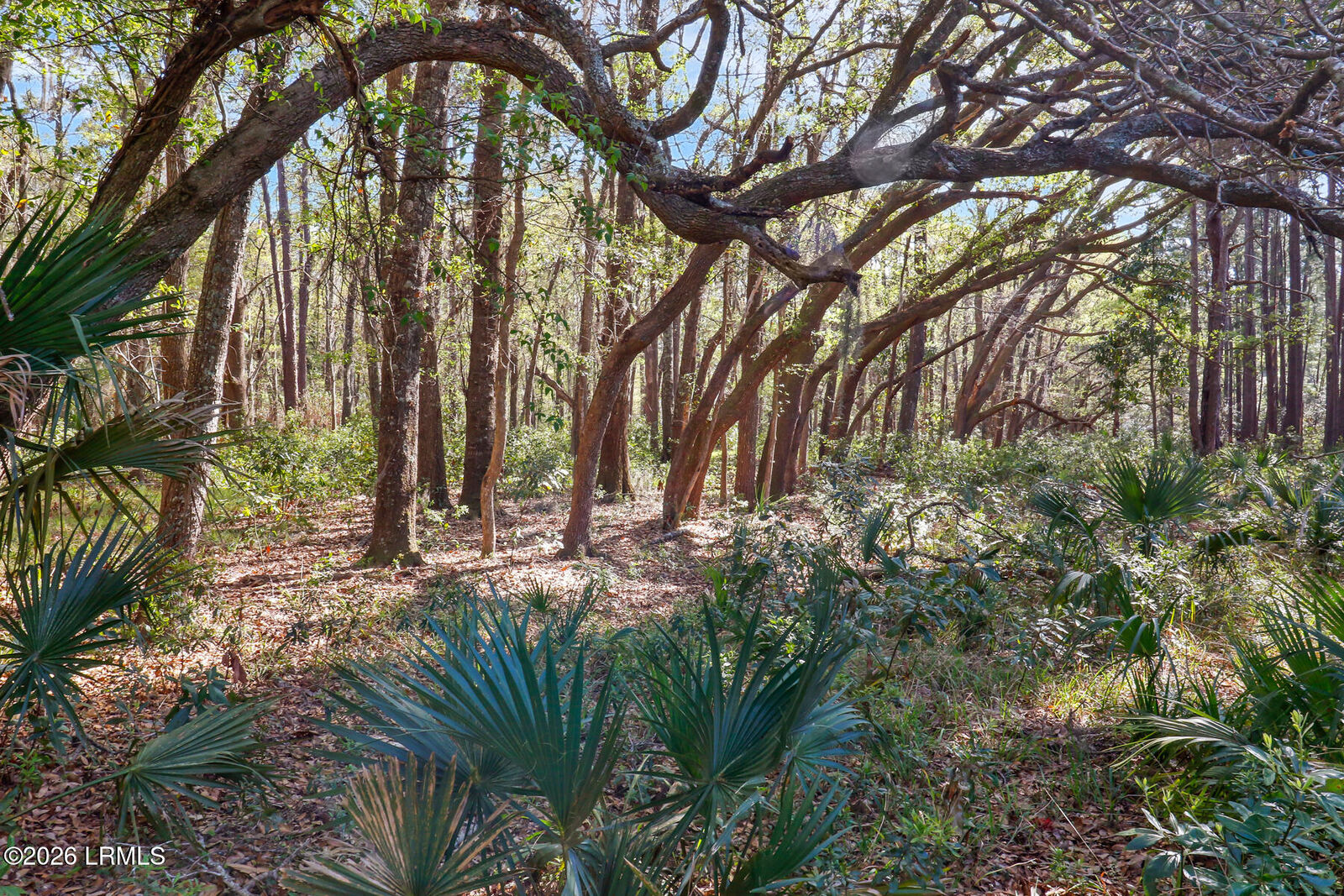 Property Photo:  1 Canters Court  SC 29910 