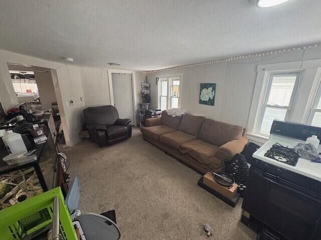 Property Photo:  247 Marble Street  MI 49601 