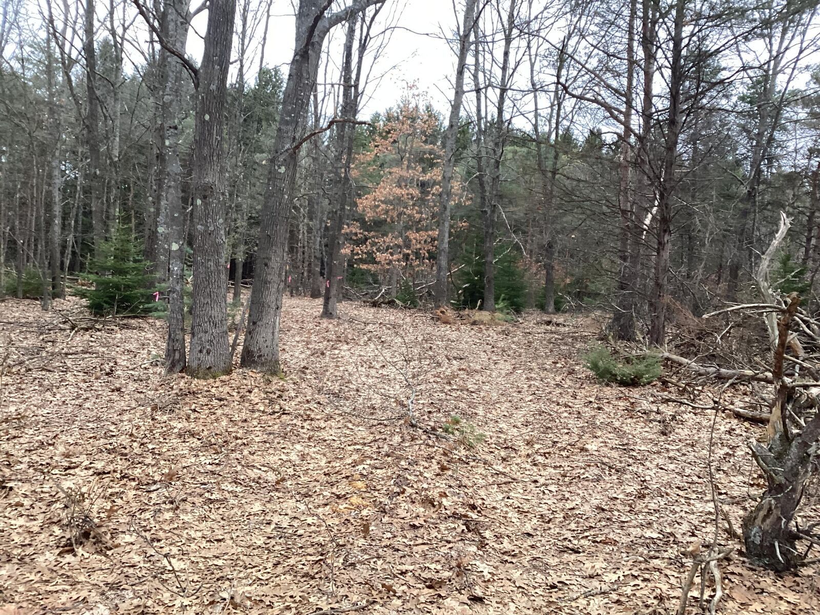 Property Photo:  2510 W Winston Road  MI 49452 