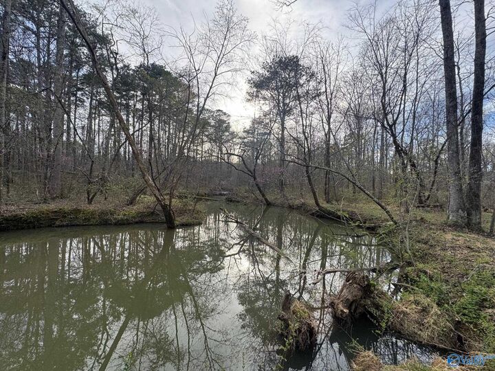 Property Photo:  690 County Road 249  AL 35983 