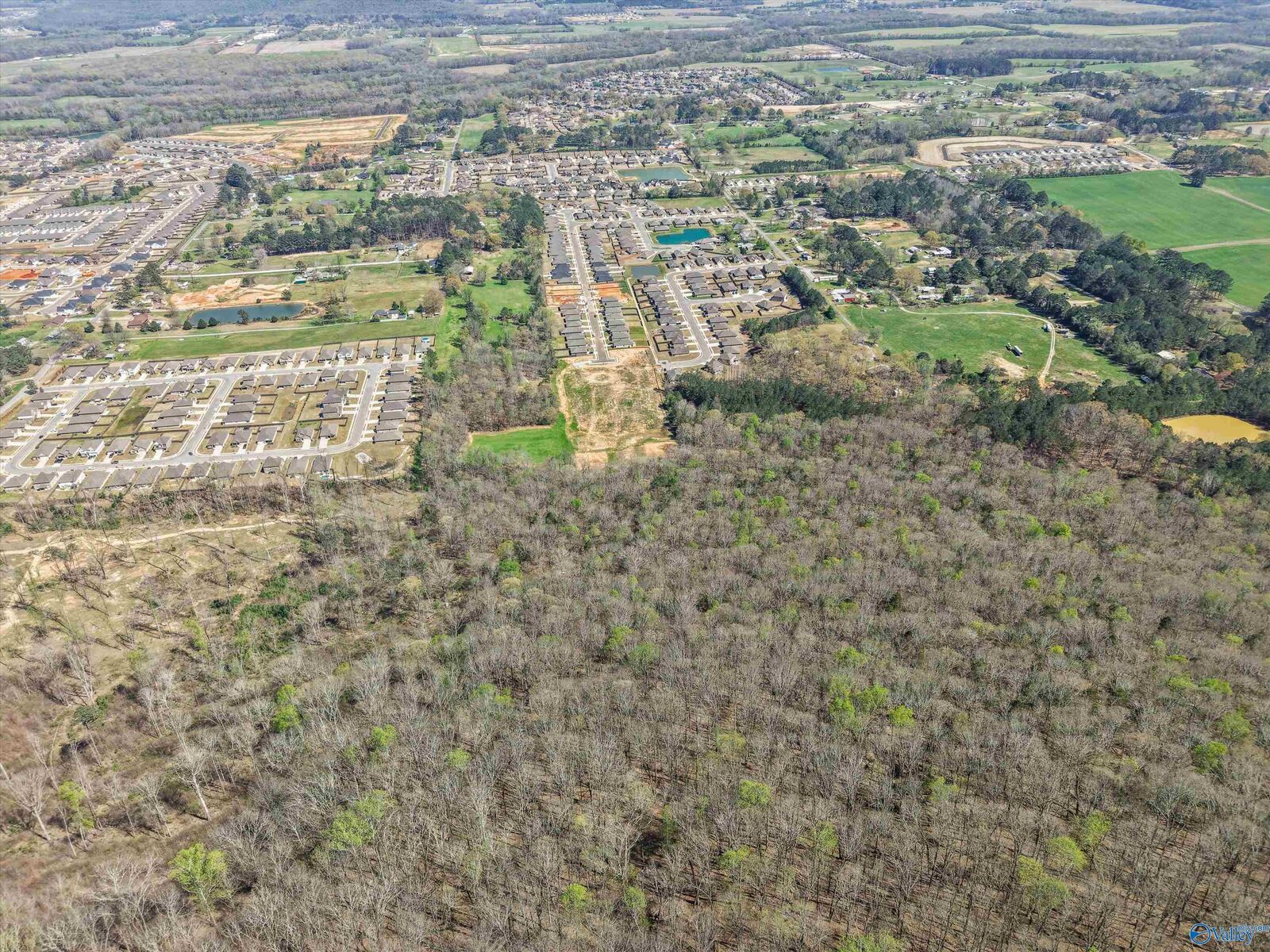 Property Photo:  15 Acres Feather Way  AL 35763 